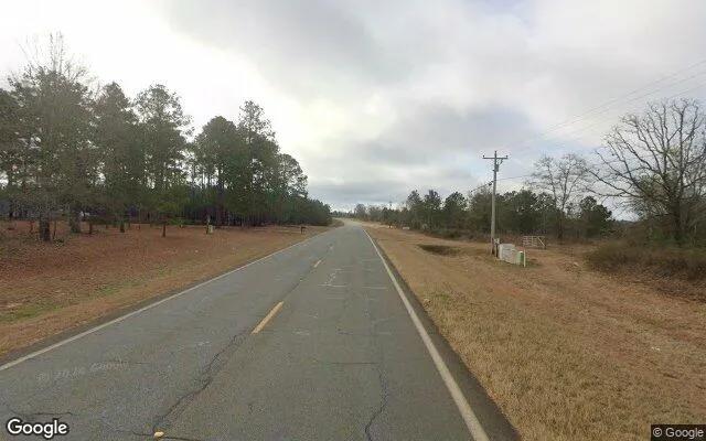 Decorative background for 15.08 Acres in Buena Vista - Marion County, GA image 5