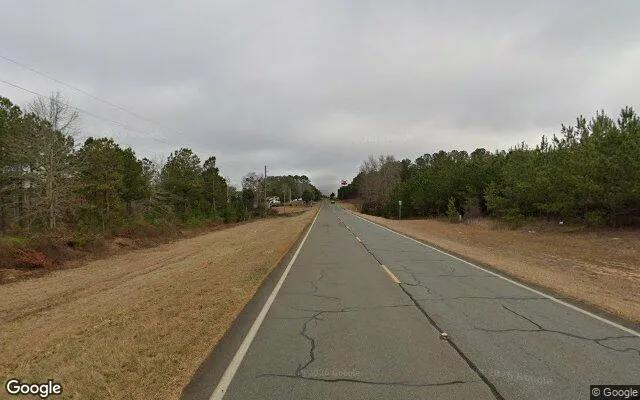 Decorative background for 15.08 Acres in Buena Vista - Marion County, GA image 6