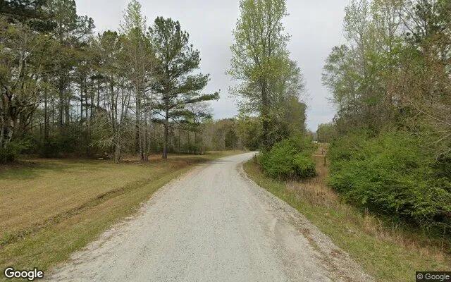 Decorative background for 0.5 Acres in Hamilton - Harris County, GA image 6