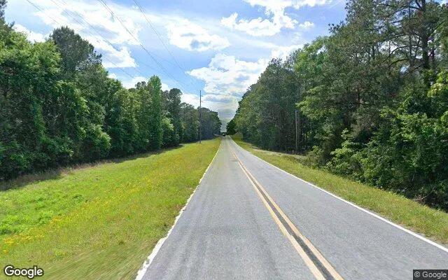 Decorative background for 3.5 Acres in Tignall - Lincoln County, GA image 6