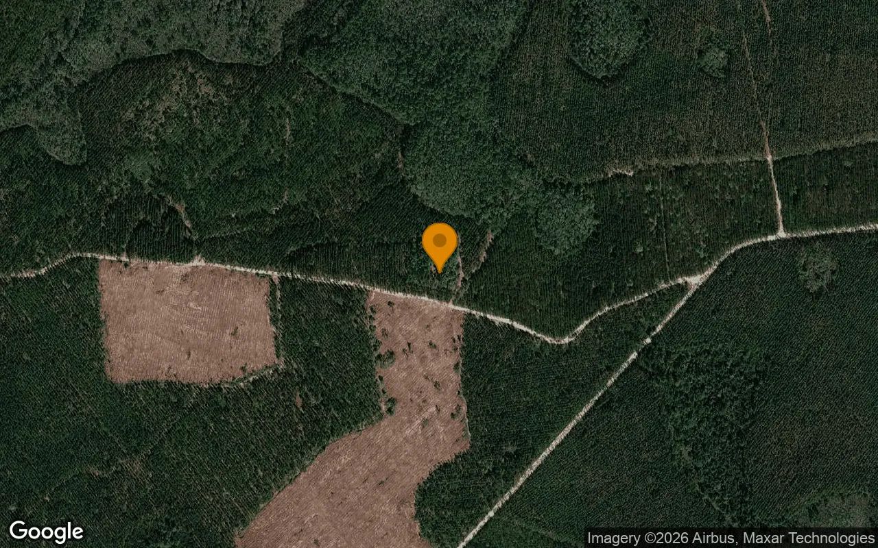 0.82 Acres in Du Pont - Clinch County, GA in Clinch County, Georgia