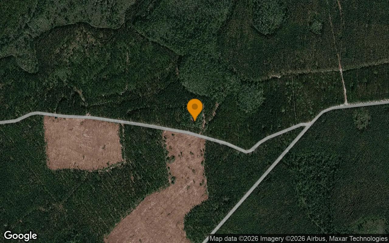 Decorative background for 0.82 Acres in Du Pont - Clinch County, GA image 6
