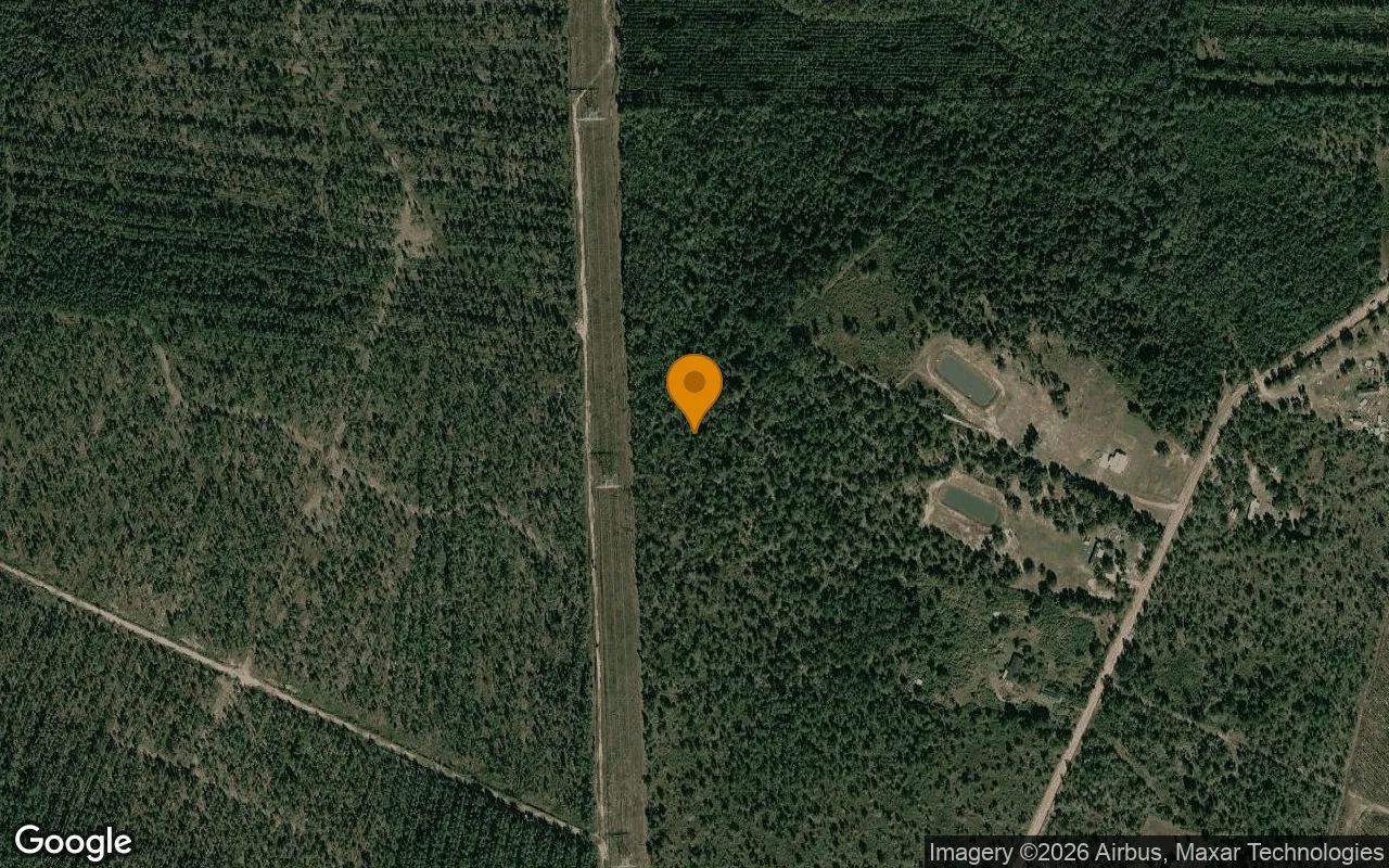 15.06 Acres in Nahunta - Brantley County, GA in Brantley County, Georgia