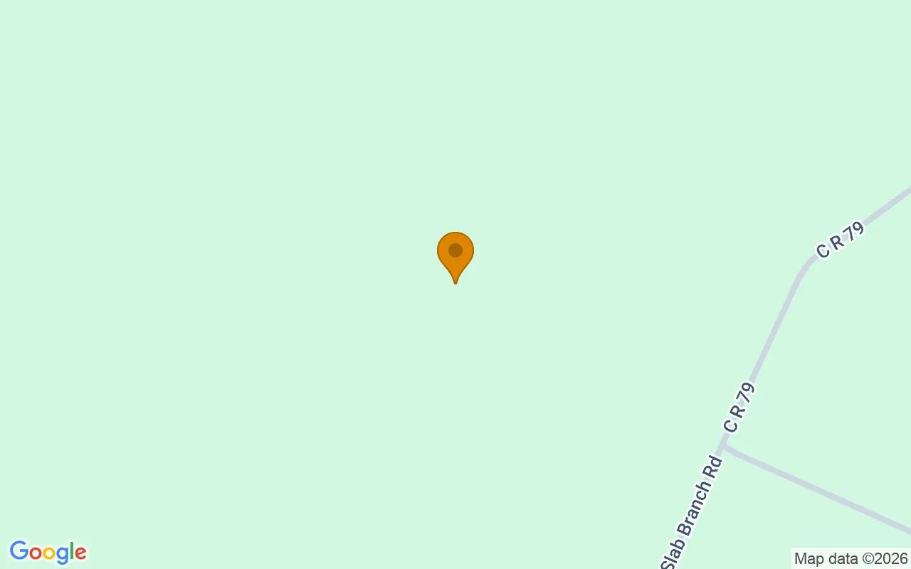 15.06 Acres in Nahunta - Brantley County, GA in Brantley County, Georgia