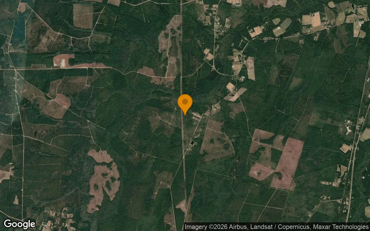 15.06 Acres in Nahunta - Brantley County, GA in Brantley County, Georgia