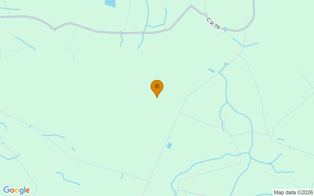 15.06 Acres in Nahunta - Brantley County, GA in Brantley County, Georgia