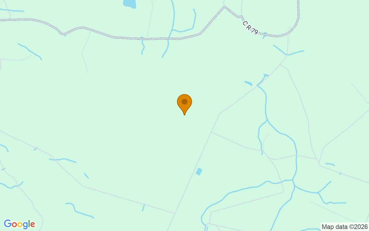 15.06 Acres in Nahunta - Brantley County, GA - Image 4