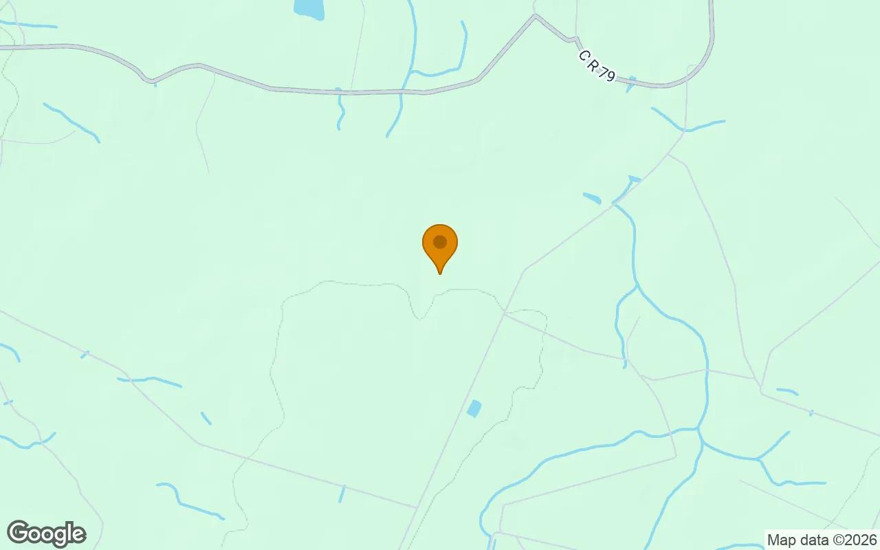Decorative background for 15.06 Acres in Nahunta - Brantley County, GA image 5