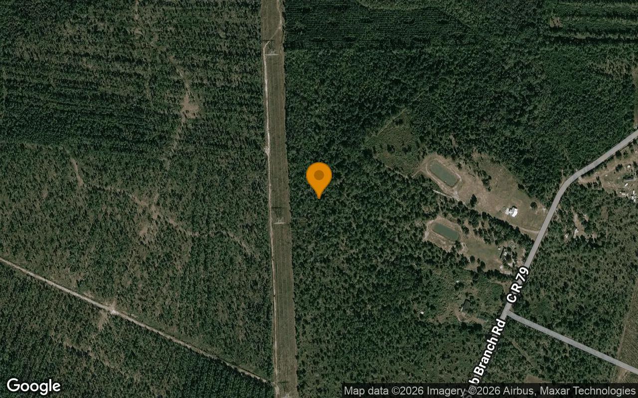 Decorative background for 15.06 Acres in Nahunta - Brantley County, GA image 6