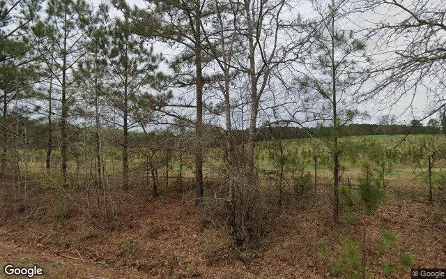 Decorative background for 3.5 Acres in Woodbury - Meriwether County, GA image 5