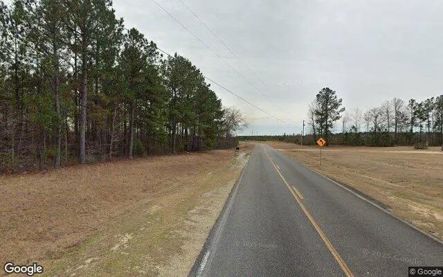 Decorative background for 0.4 Acres in Warthen - Washington County, GA image 6