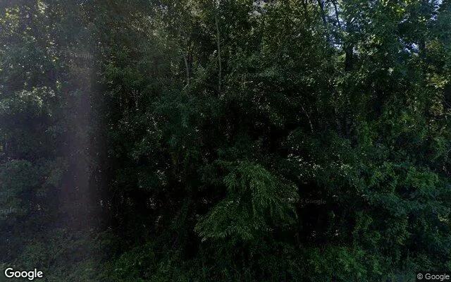 7.42 Acres in Cochran - Bleckley County, GA - Image 4