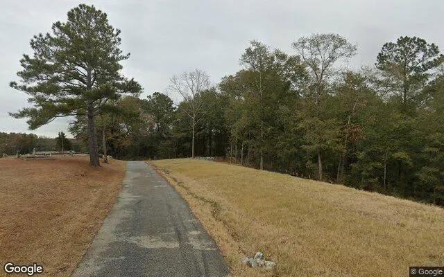 Decorative background for 3.62 Acres in Cusseta - Chattahoochee County, GA image 6