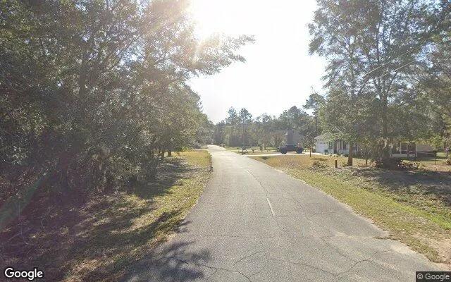 Decorative background for 0.55 Acres in Midway - Liberty County, GA image 5