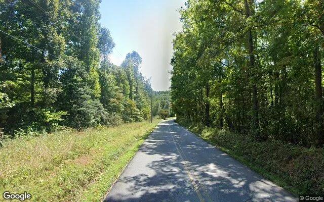 Decorative background for 1.5 Acres in Mineral Bluff - Fannin County, GA image 6