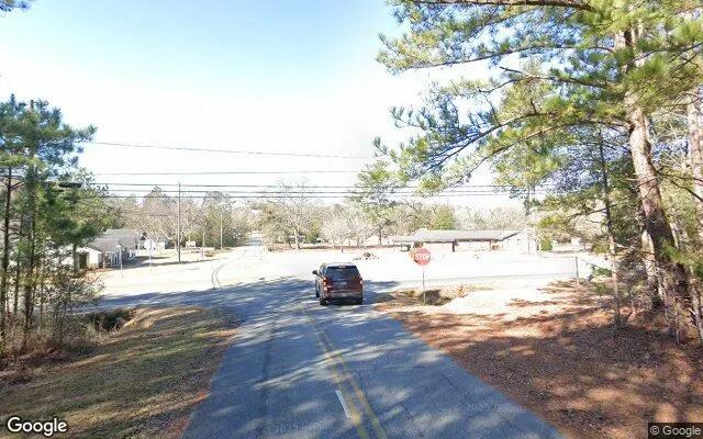 Decorative background for 0.77 Acres in Ideal - Macon County, GA image 5