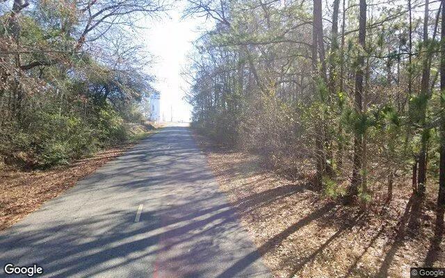 Decorative background for 0.77 Acres in Ideal - Macon County, GA image 6