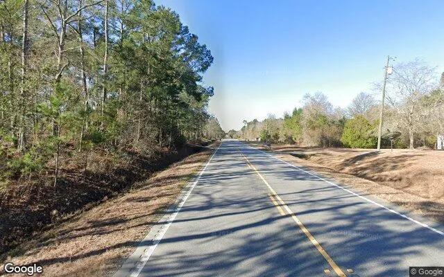 Decorative background for 0.55 Acres in Metter - Candler County, GA image 5