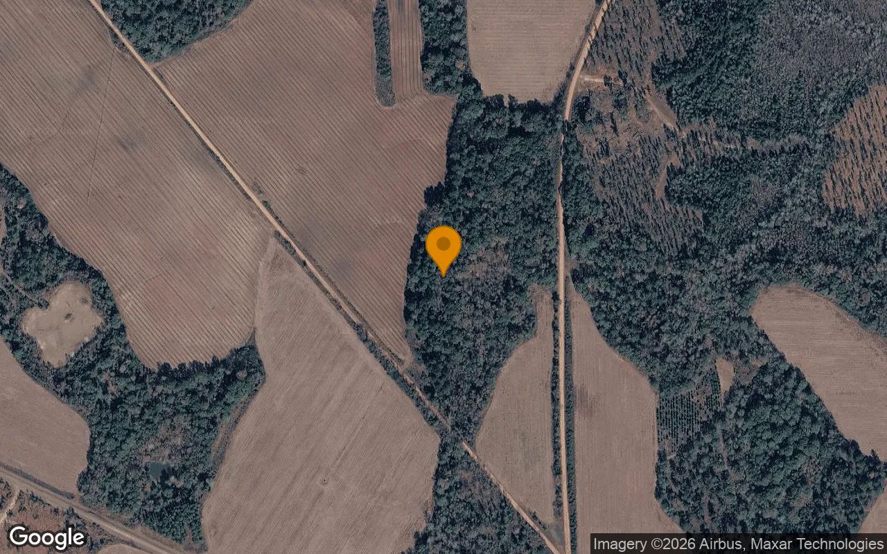 74.75 Acres in Edison - Calhoun County, GA in Calhoun County, Georgia