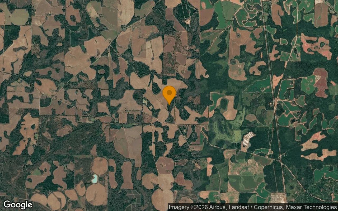 74.75 Acres in Edison - Calhoun County, GA in Calhoun County, Georgia