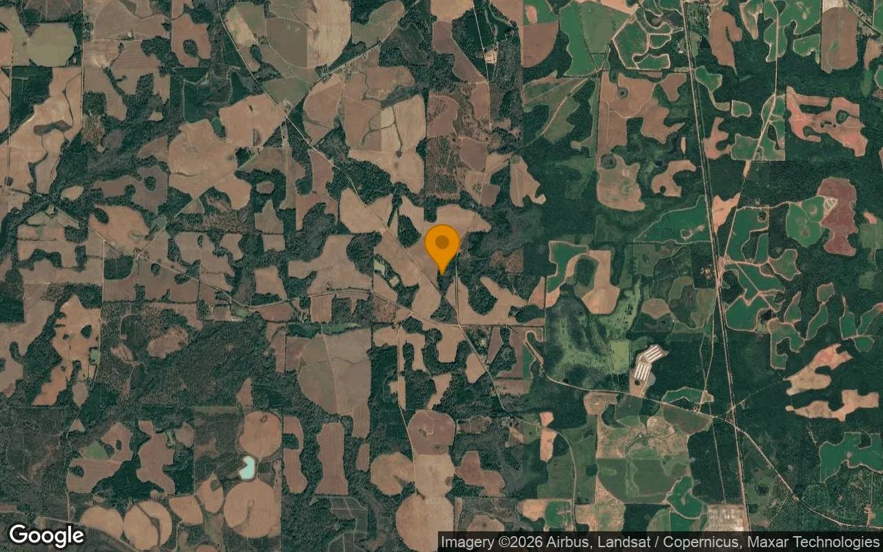 74.75 Acres in Edison - Calhoun County, GA - Image 3
