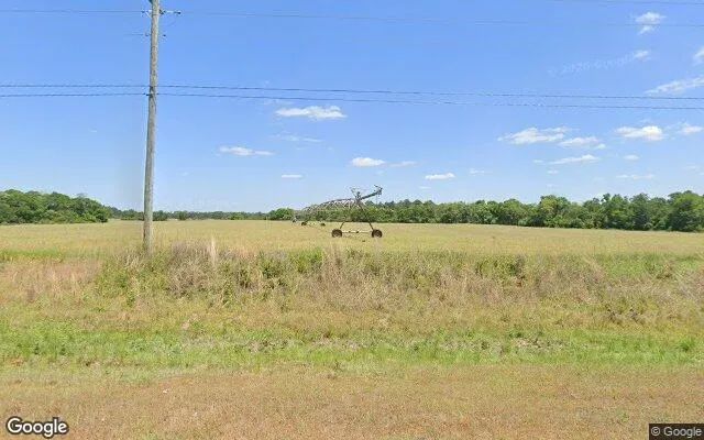 74.75 Acres in Edison - Calhoun County, GA in Calhoun County, Georgia