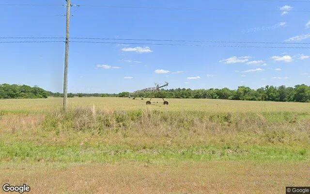 74.75 Acres in Edison - Calhoun County, GA - Image 4