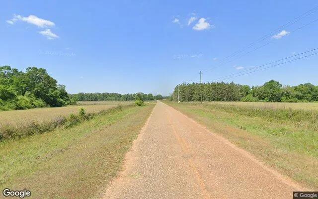 Decorative background for 74.75 Acres in Edison - Calhoun County, GA image 5