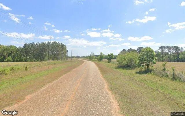 Decorative background for 74.75 Acres in Edison - Calhoun County, GA image 6