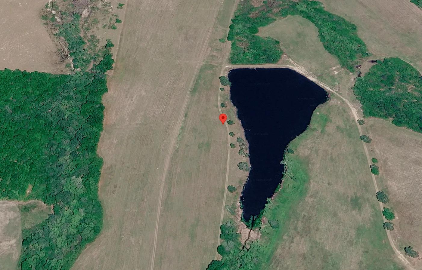 1.5 Acres with Owner Financing and $600 down in Wilcox County Georgia! - Main image