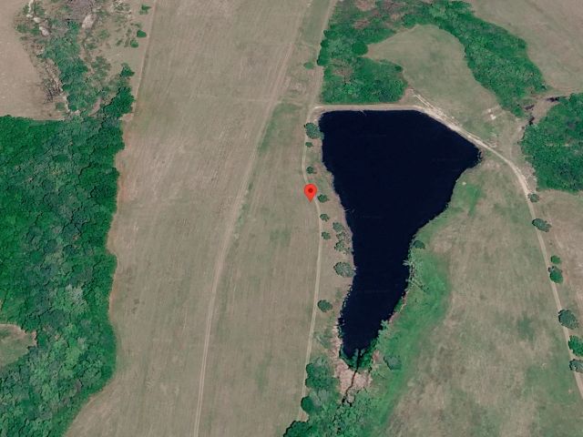1.5 Acres with Owner Financing and $600 down in Wilcox County Georgia! in Wilcox County, GA