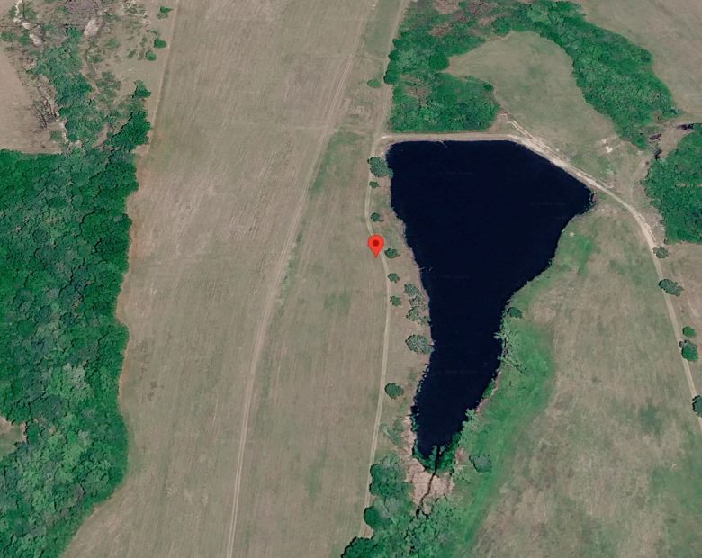 1.5 Acres with Owner Financing and $600 down in Wilcox County Georgia! in Wilcox County, GA