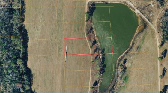 1.5 Acres with Owner Financing and $600 down in Wilcox County Georgia! in Wilcox County, GA