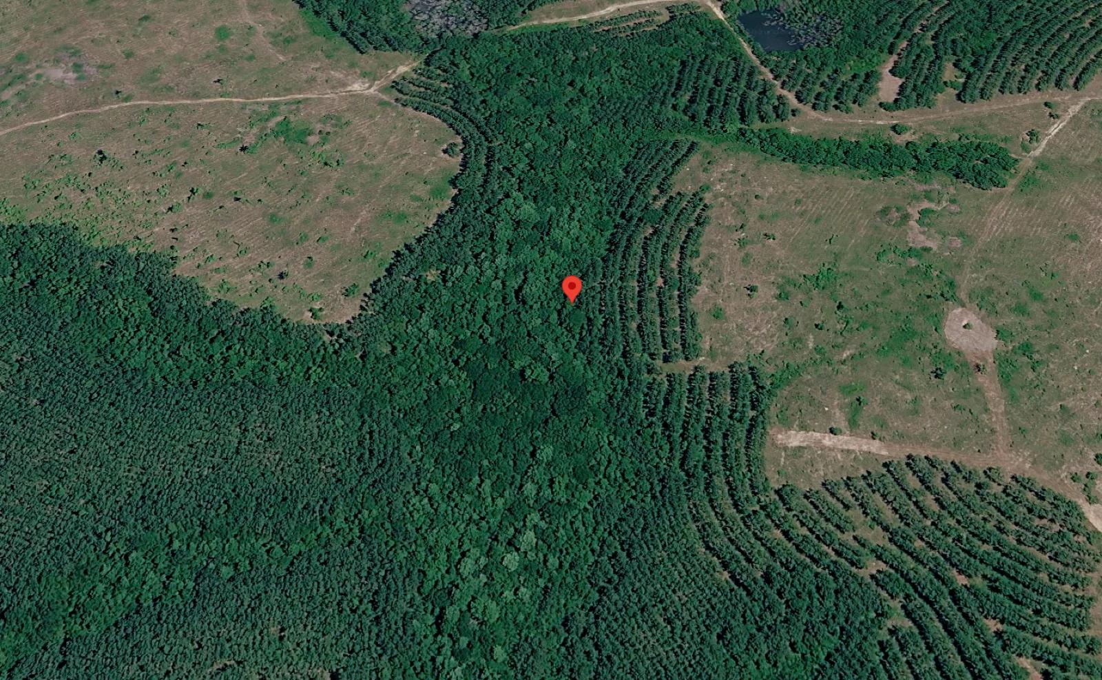 1 Acre with Owner Financing and $600 down in Telfair County Georgia! - Main image