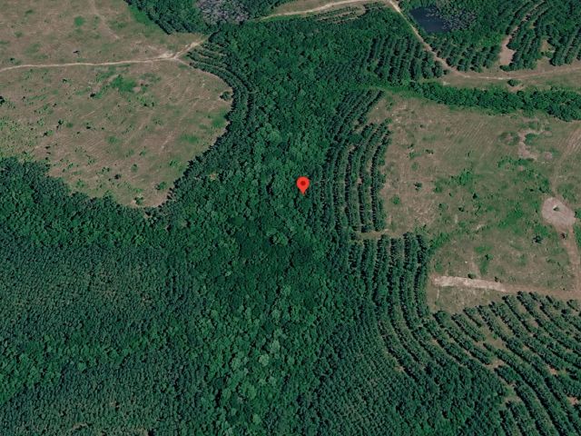 1 Acre with Owner Financing and $600 down in Telfair County Georgia! in Telfair County, GA