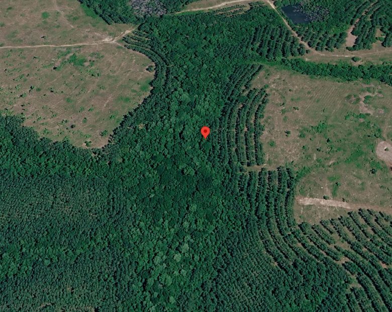 1 Acre with Owner Financing and $600 down in Telfair County Georgia! in Telfair County, GA