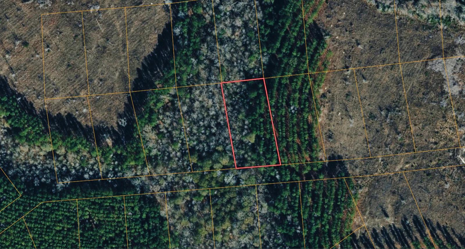 1 Acre with Owner Financing and $600 down in Telfair County Georgia! - Image 2