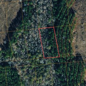1 Acre with Owner Financing and $600 down in Telfair County Georgia! in Telfair County, GA