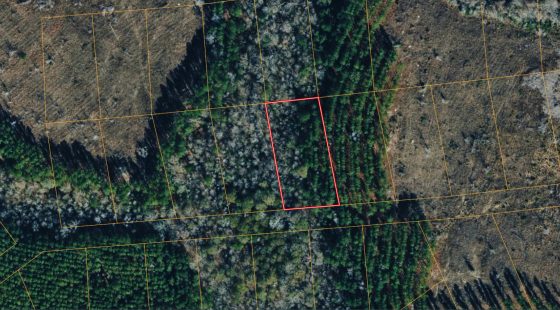 1 Acre with Owner Financing and $600 down in Telfair County Georgia! in Telfair County, GA