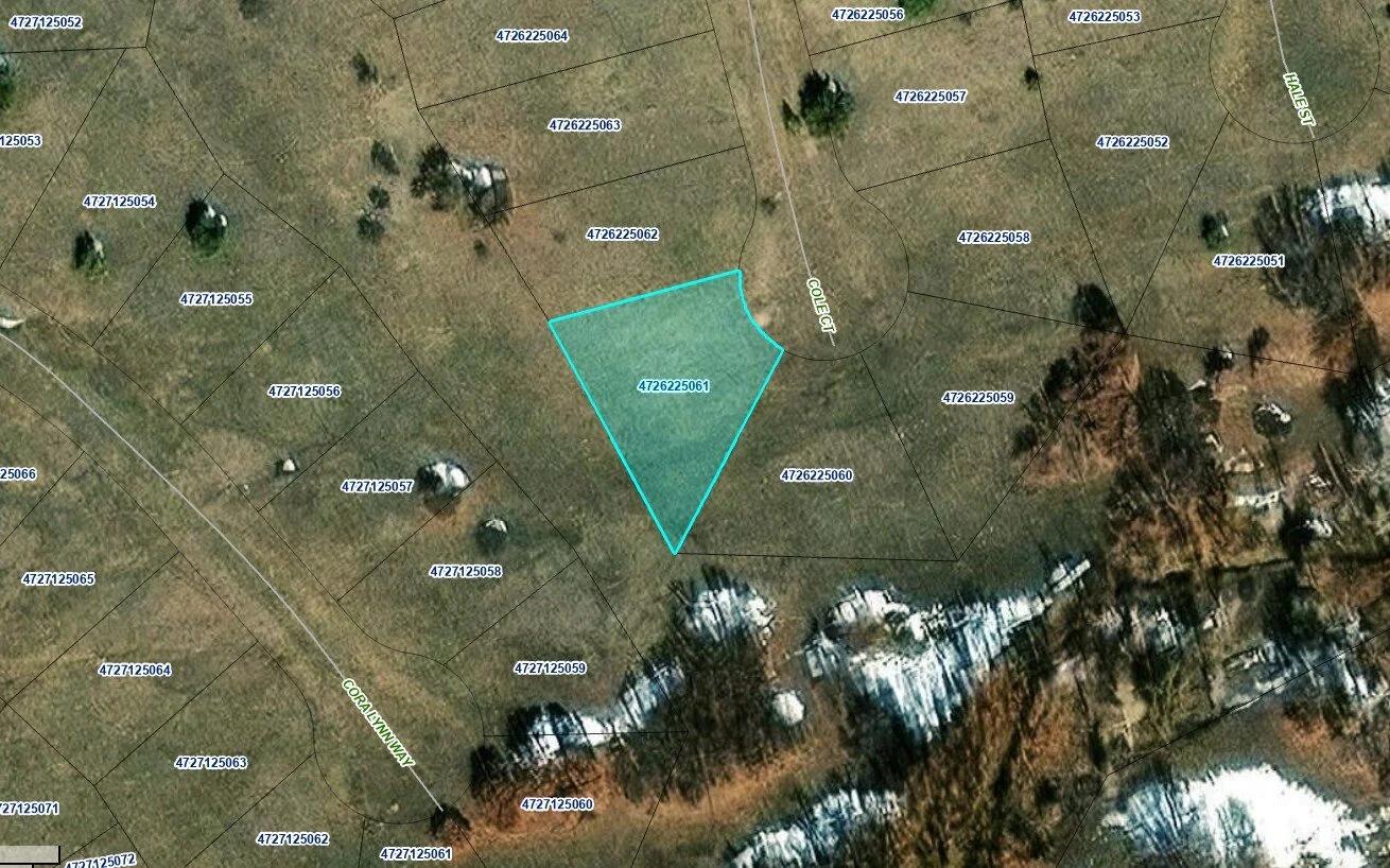 0.24 Acres for Sale in Pueblo County Colorado! - Image 3