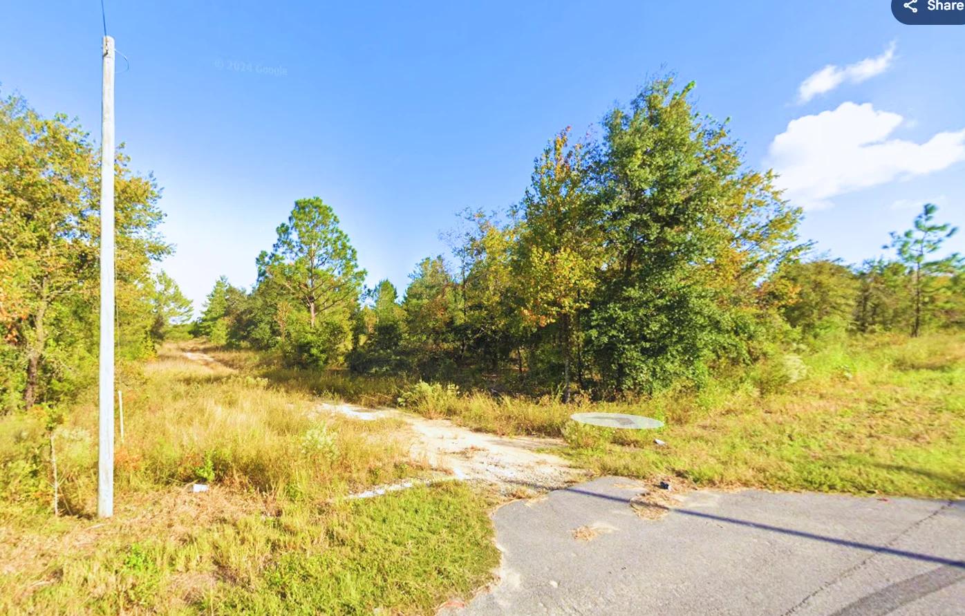 Decorative background for Build Near Florida's Lakes image 11