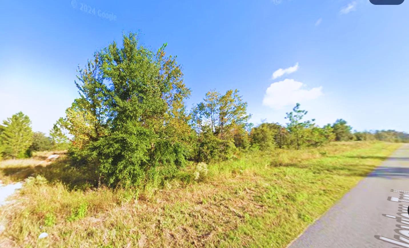 Decorative background for Build Near Florida's Lakes image 5