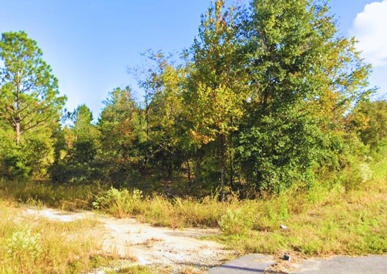 Decorative background for Build Near Florida's Lakes image 9