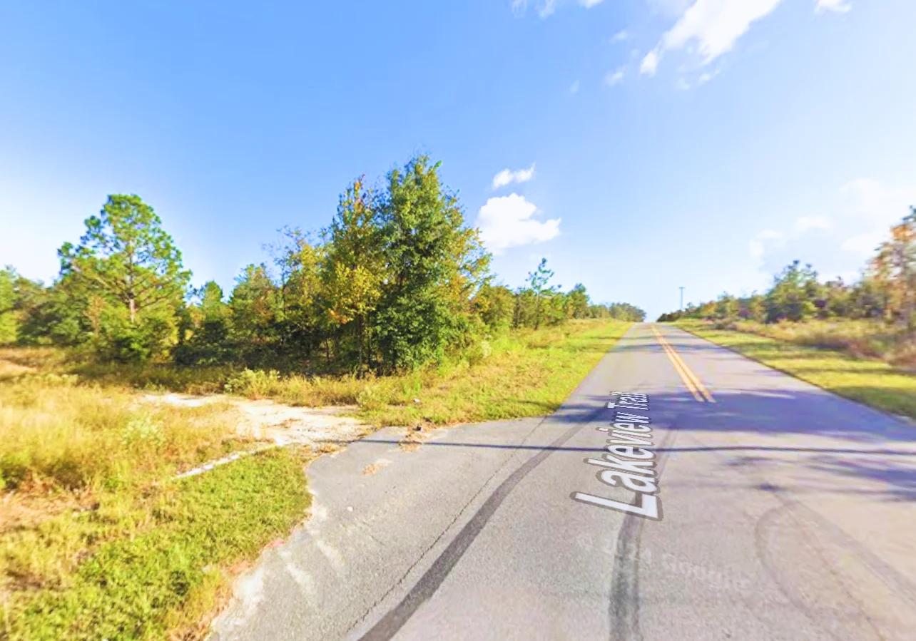Decorative background for Build Near Florida's Lakes image 14
