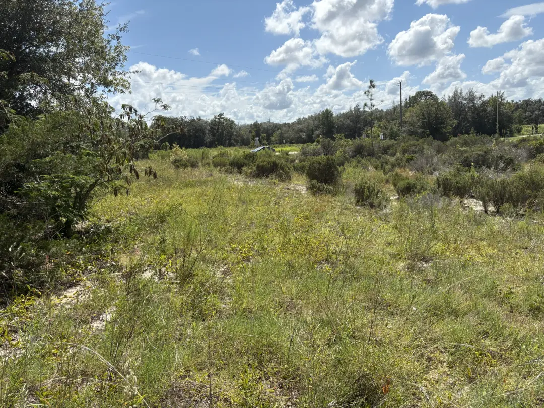 Prime Levy County, FL Outdoor Sportsman Lot for Sale Near World-Class Springs & Gulf Coast in Levy County, FL