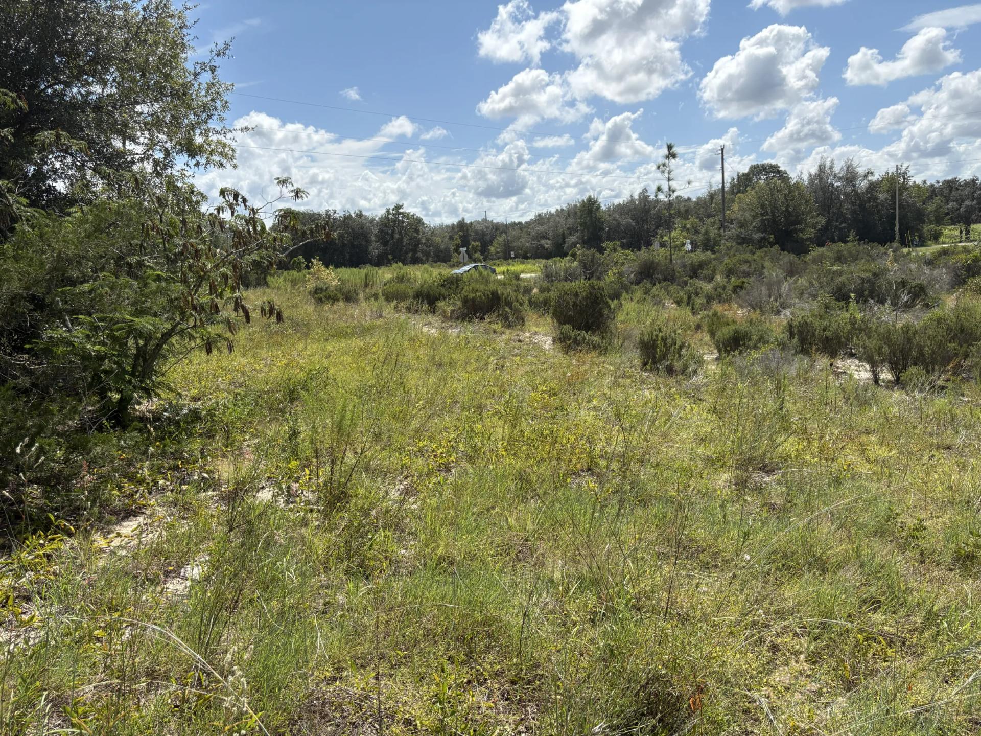 Prime Levy County, FL Outdoor Sportsman Lot for Sale Near World-Class Springs & Gulf Coast - Main image