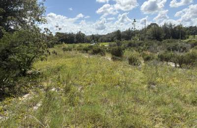 Prime Levy County, FL Outdoor Sportsman Lot for Sale Near World-Class Springs & Gulf Coast