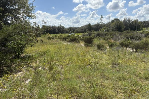 Prime Levy County, FL Outdoor Sportsman Lot for Sale Near World-Class Springs & Gulf Coast — Levy County, FL