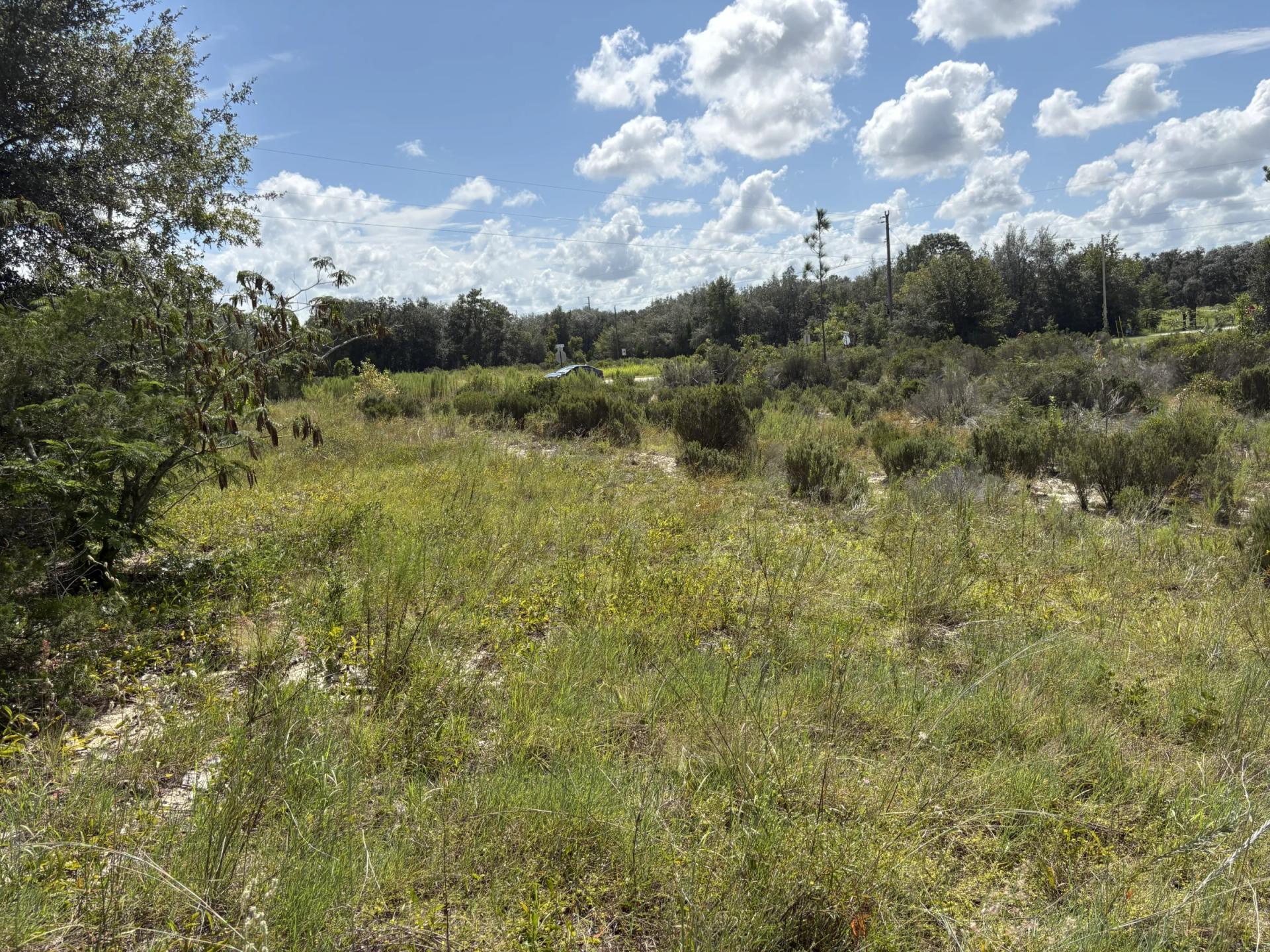 Prime Levy County, FL Outdoor Sportsman Lot for Sale Near World-Class Springs & Gulf Coast - Image 2