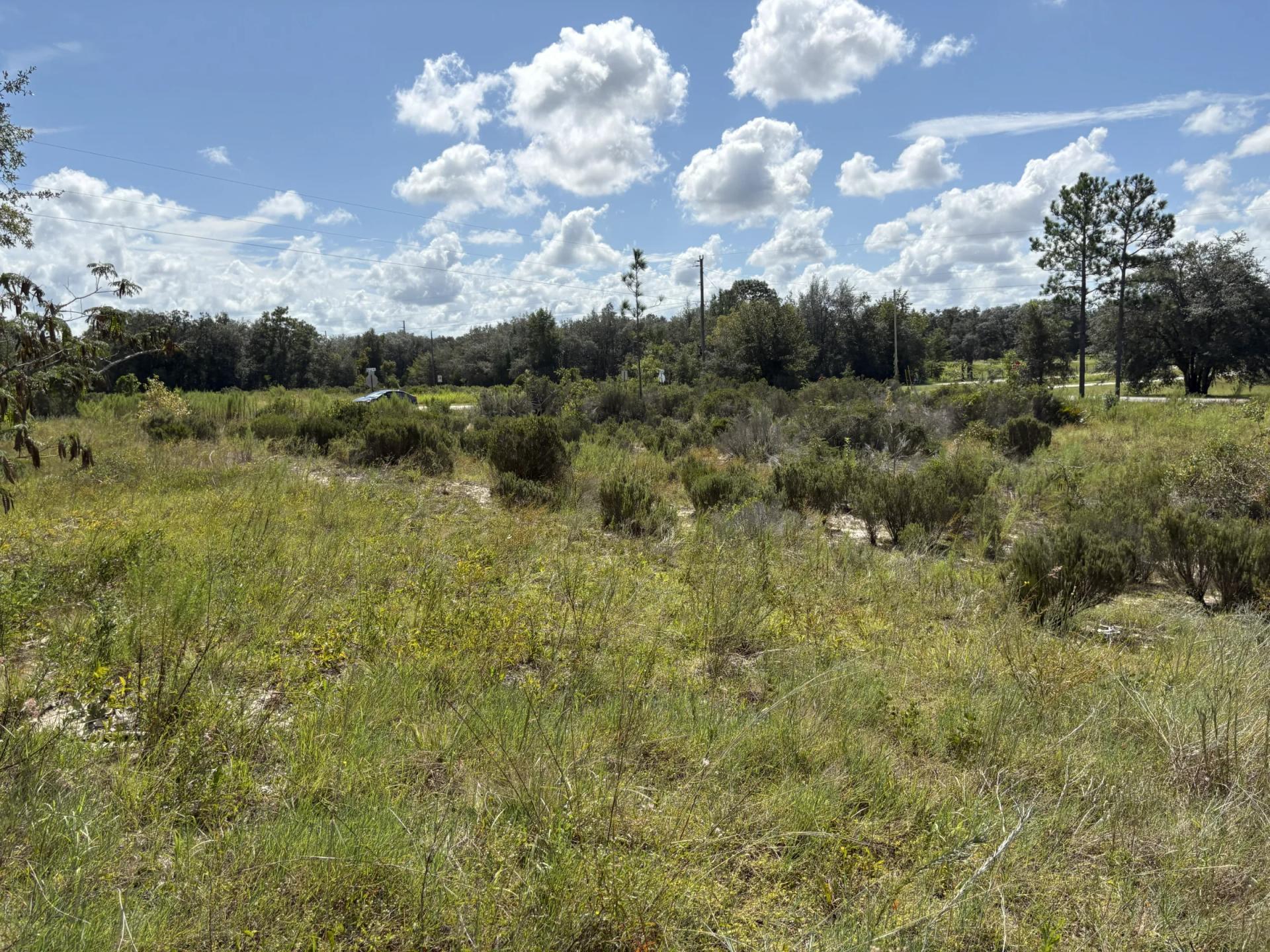 Prime Levy County, FL Outdoor Sportsman Lot for Sale Near World-Class Springs & Gulf Coast - Image 3